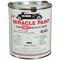 Bill Hirsch Miracle Paint