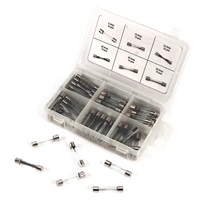 60-Pc AGC Glass Fuse Assortment