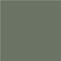 SEYMOUR® Auto & Collision E-Coat Primer - Olive, 12 oz