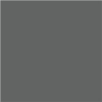 SEYMOUR® HI-TECH 300 Degree Engine Enamels - Ford Gray, 12 oz