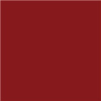 SEYMOUR® HI-TECH 300 Degree Engine Enamels - GM Red, 12 oz