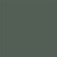 SEYMOUR® Auto & Collision E-Coat Primer - Dark Green, 12 oz