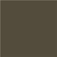 SEYMOUR® Auto & Collision E-Coat Primer - Drab, 12 oz