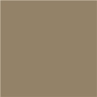 SEYMOUR® HI-TECH 300 Degree Engine Enamels - Cummins Beige, 12 oz spray