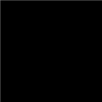 SEYMOUR® Auto & Collision E-Coat Primer - Black, 12 oz