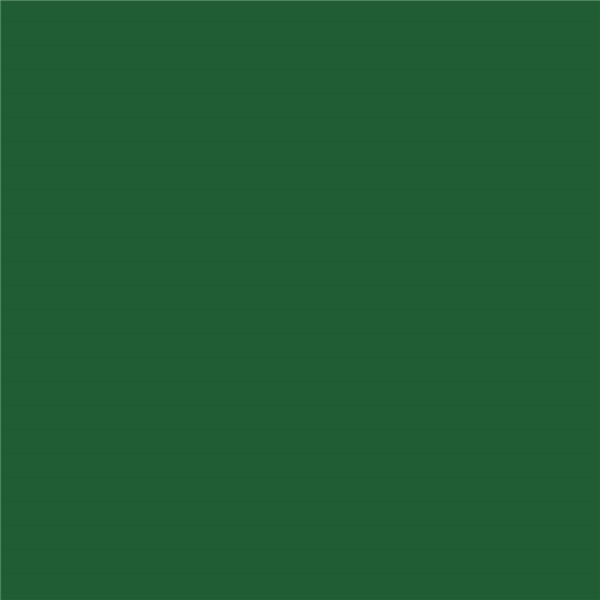 RONAN One Stroke Lettering Enamel Paint - Medium Green - TP Tools ...