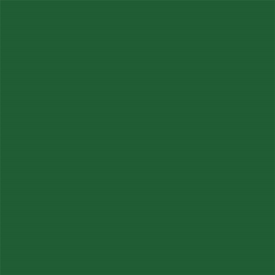 RONAN One Stroke Lettering Enamel Paint Medium Green TP Tools
