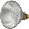 Skat Blast&#174; Floodlight Bulb