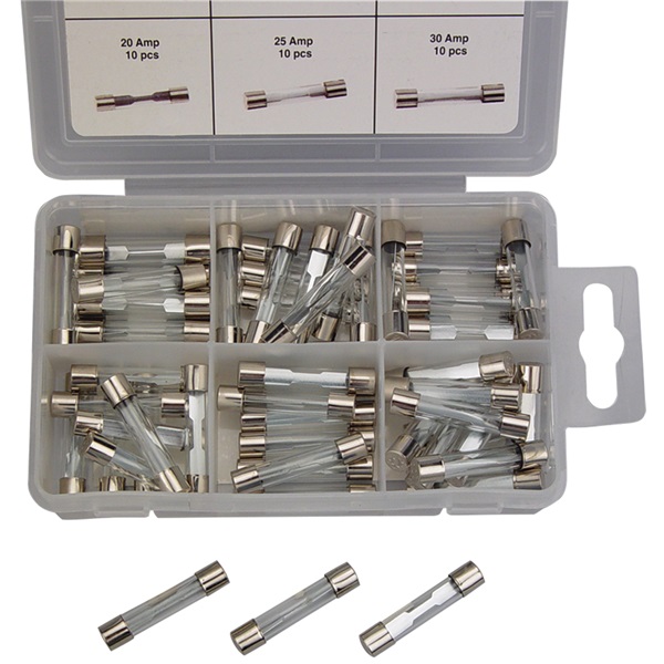 60-Pc AGC Glass Fuse Assortment