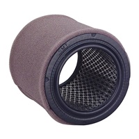 Replacement Filter Element - 40 cfm