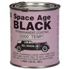 Bill Hirsch Spage Age Black, pint can