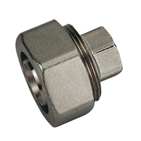 MaxLine 3/4" NPT End Cap