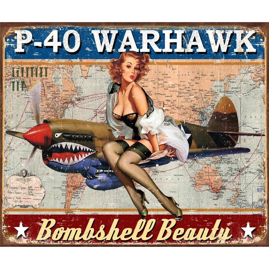 Warhawk Tin Sign - 16"W x 12-1/2"H