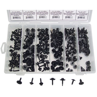 210 Pc Hex /& Phillips Drive Black Trim Screw Assortment