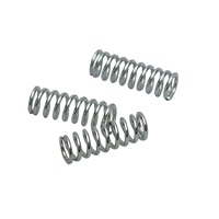 Skat Blast® Replacement Valve Spring, 3 pk