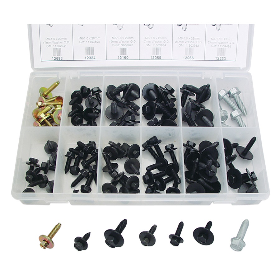 101-Pc Body Bolt Kit