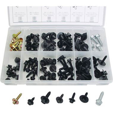 101-Pc Body Bolt Kit